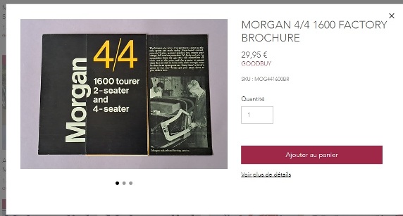 Brochure Morgan.jpg