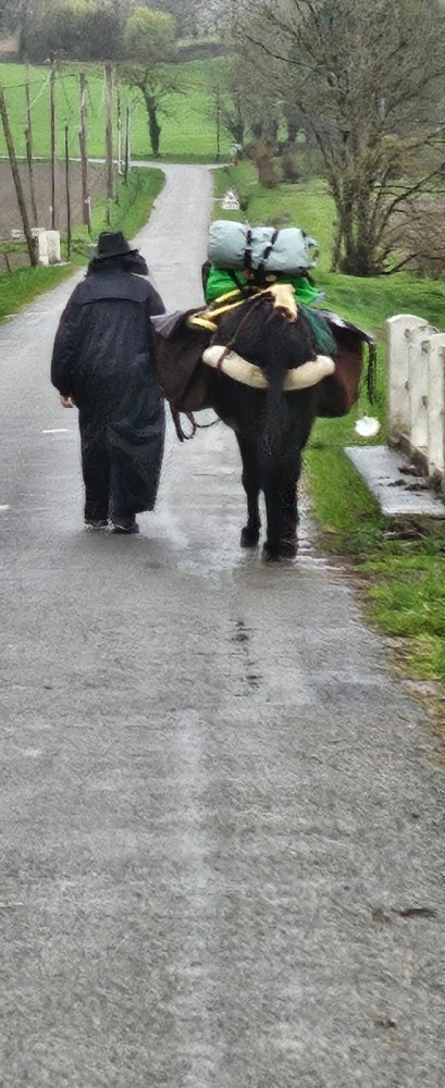 WhatsApp Image 2025-03-21 à 21.06.55_5ef976d0.jpg