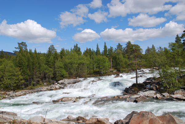 riviere.jpg