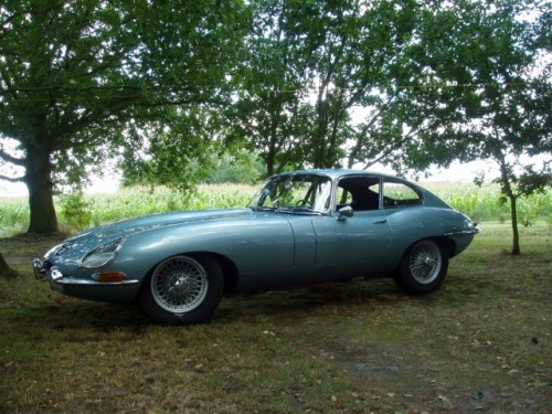 P8070036 [640x480].JPG