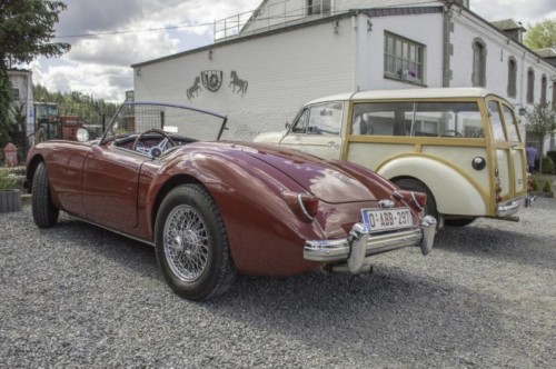 MGA & Morris.jpg