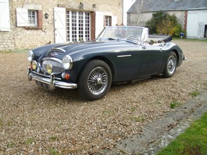 healey51.jpg