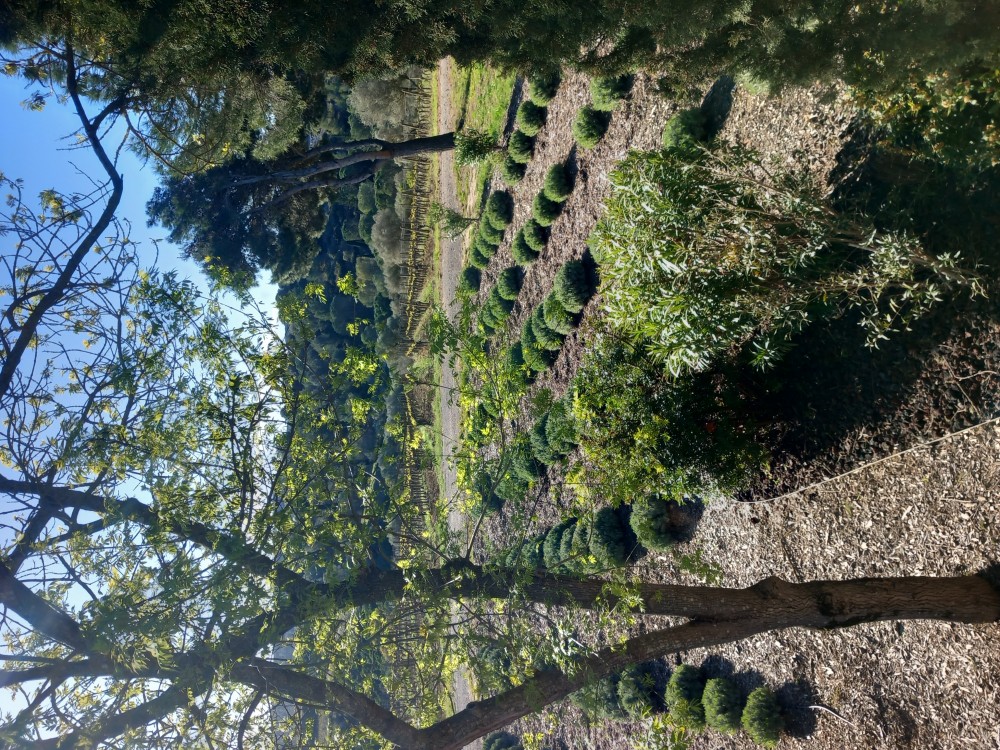 20260329_100149.jpg