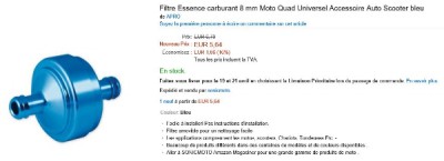 Filtre essence.JPG