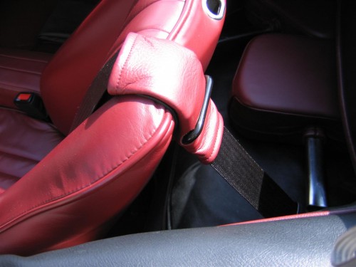 IMG_0338 (Large).JPG