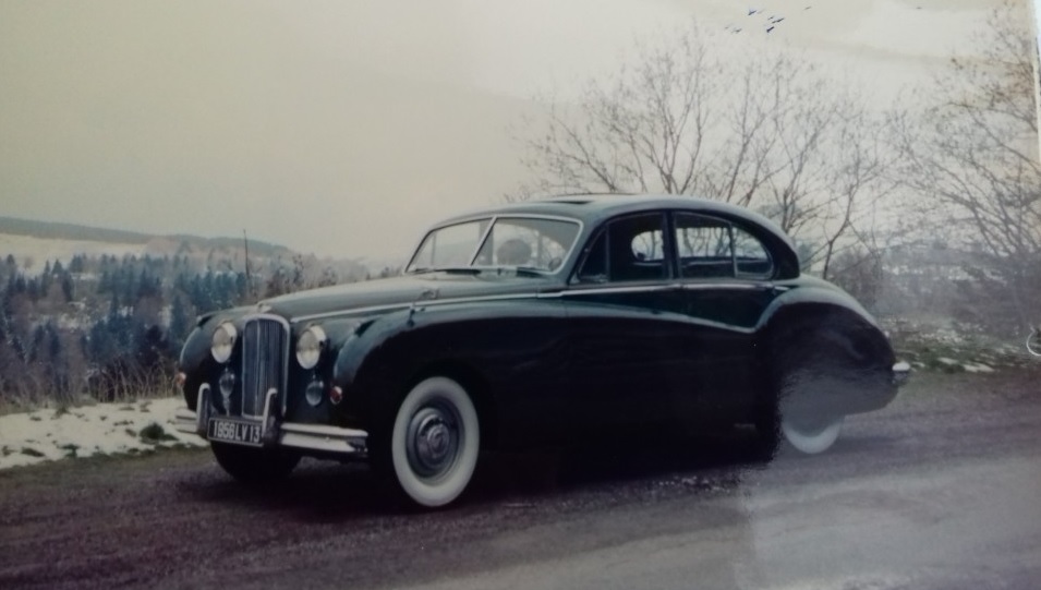 Jaguar.jpg
