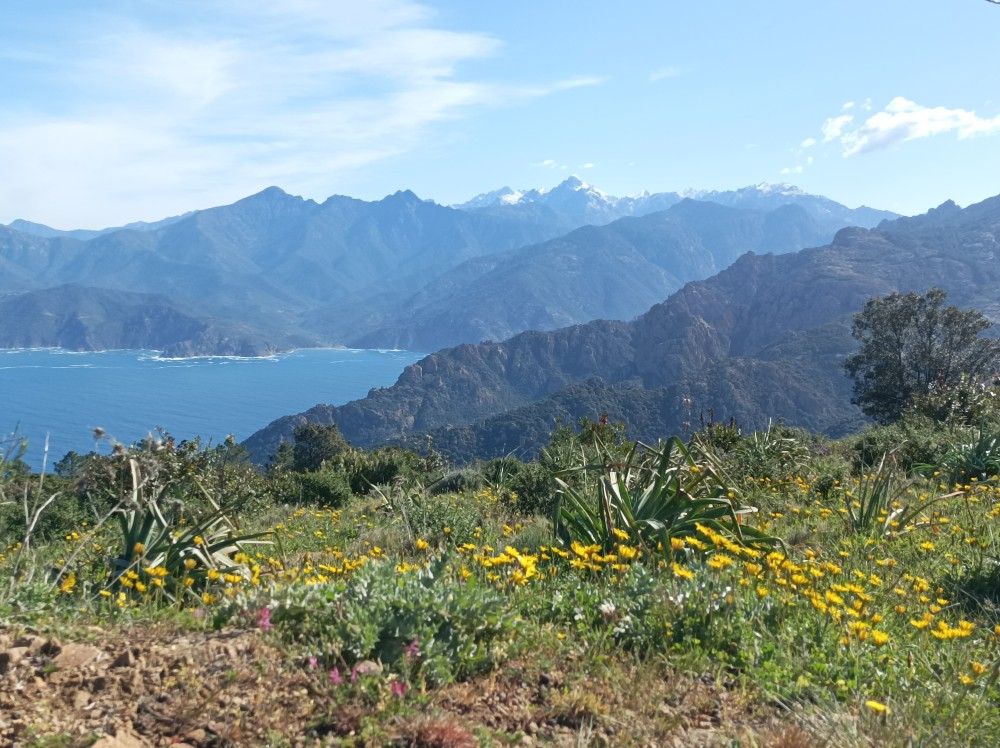 IMG_20230416_095813.jpg
